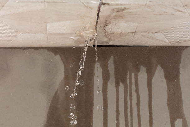 Professional Flood Damage Cleanup technician working in South Haven, IN